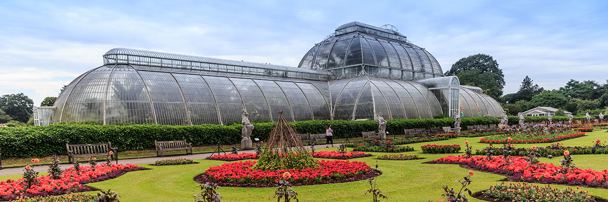 Explore Kew Gardens